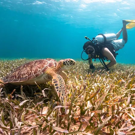 Reef Haven Belize