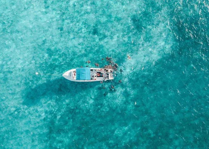 Resort Reef Haven Belize