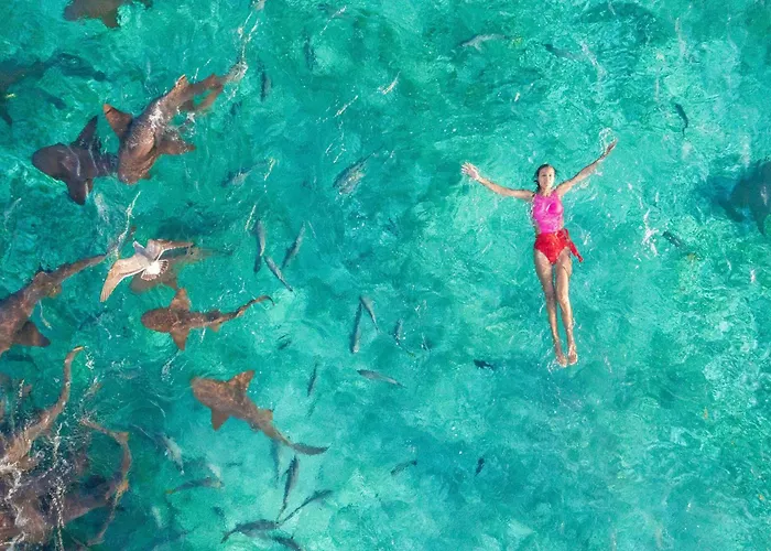 Reef Haven Belize 4* San Pedro (Ambergris Caye)